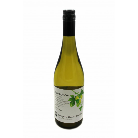 Pico a Pico Sauvignon Blanc