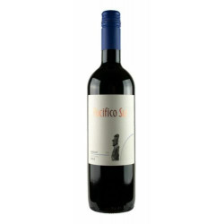 Pacifico Sur Merlot