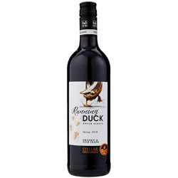 Running Duck, Shiraz